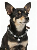 Cold Mist Smoky Gradient Cracked Crystal Pet Collar With Silver Bell, Leather Adjustable Buckle Decorative Necklace For Small Medium Cats & Dogs - Image 3